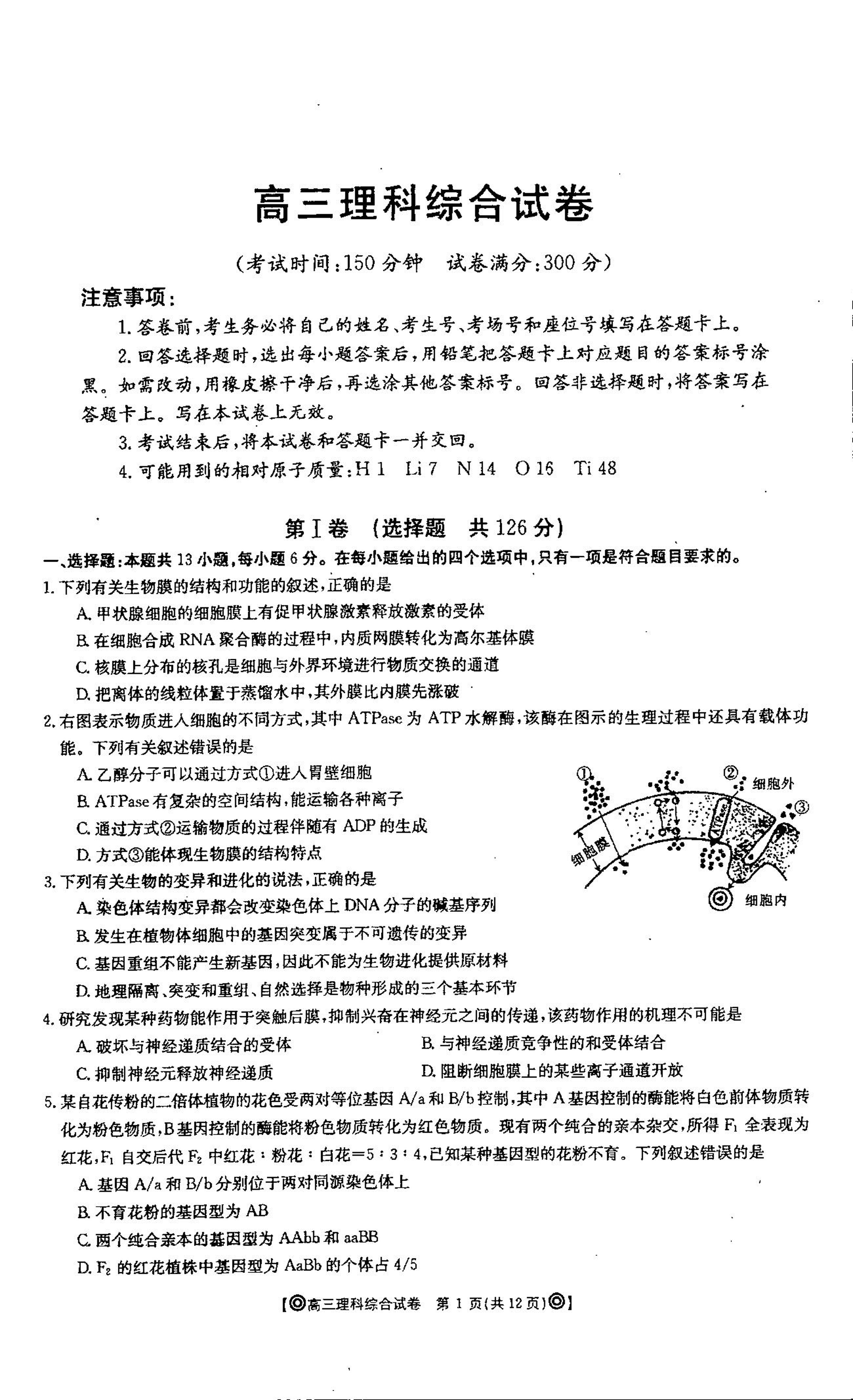吉林省梅河口市第五中学2020届高三上学期期末考试理科综合试题（PDF版） (2份打包)