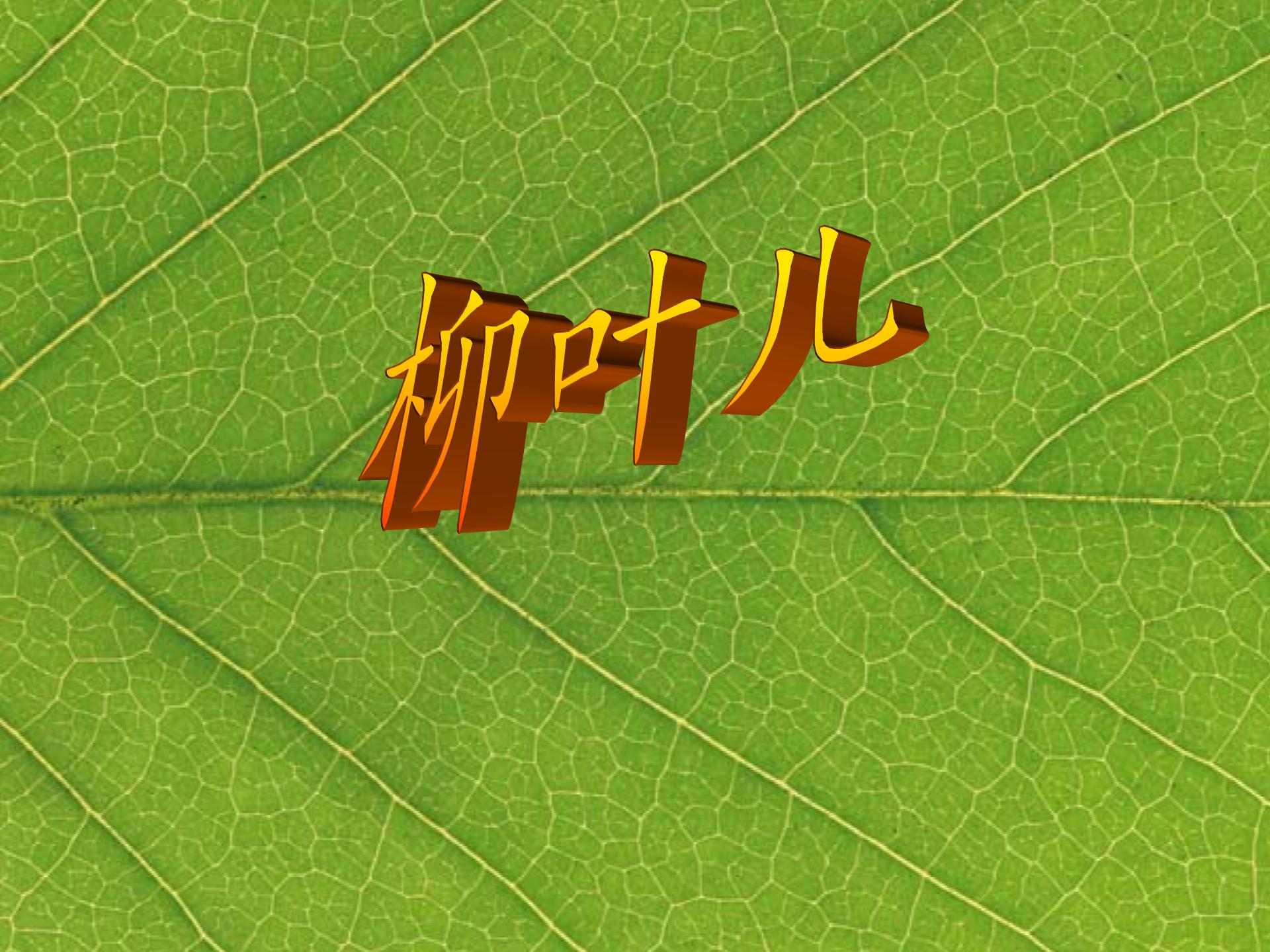 [中学联盟]安徽省庐江县罗河镇初级中学七年级语文（苏教版）下册课件：第10课 柳叶儿 (共27张PPT)
