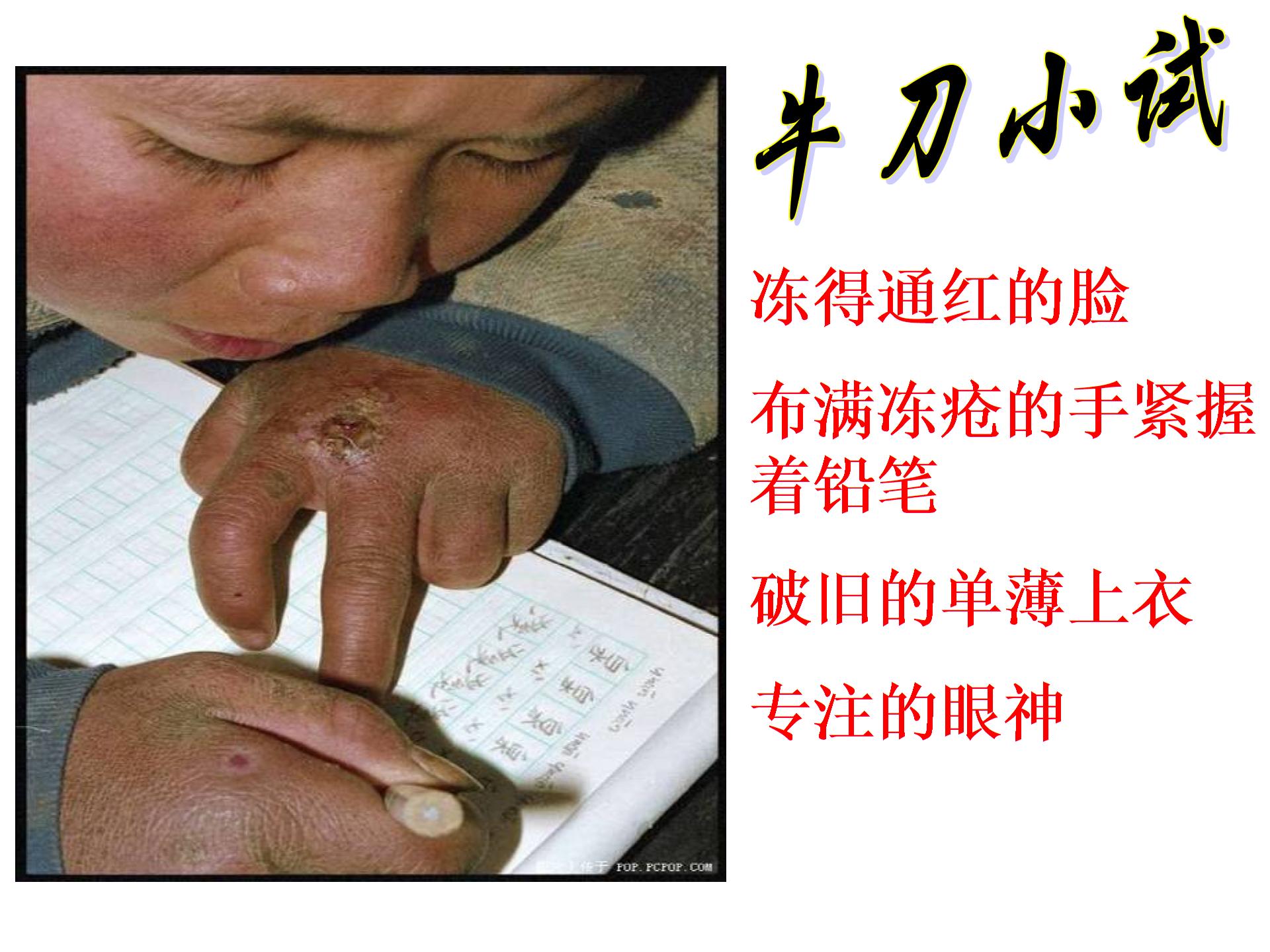 [中学联盟]安徽省庐江县罗河镇初级中学七年级语文（苏教版）下册课件：第二单元 写人 （共28张PPT）