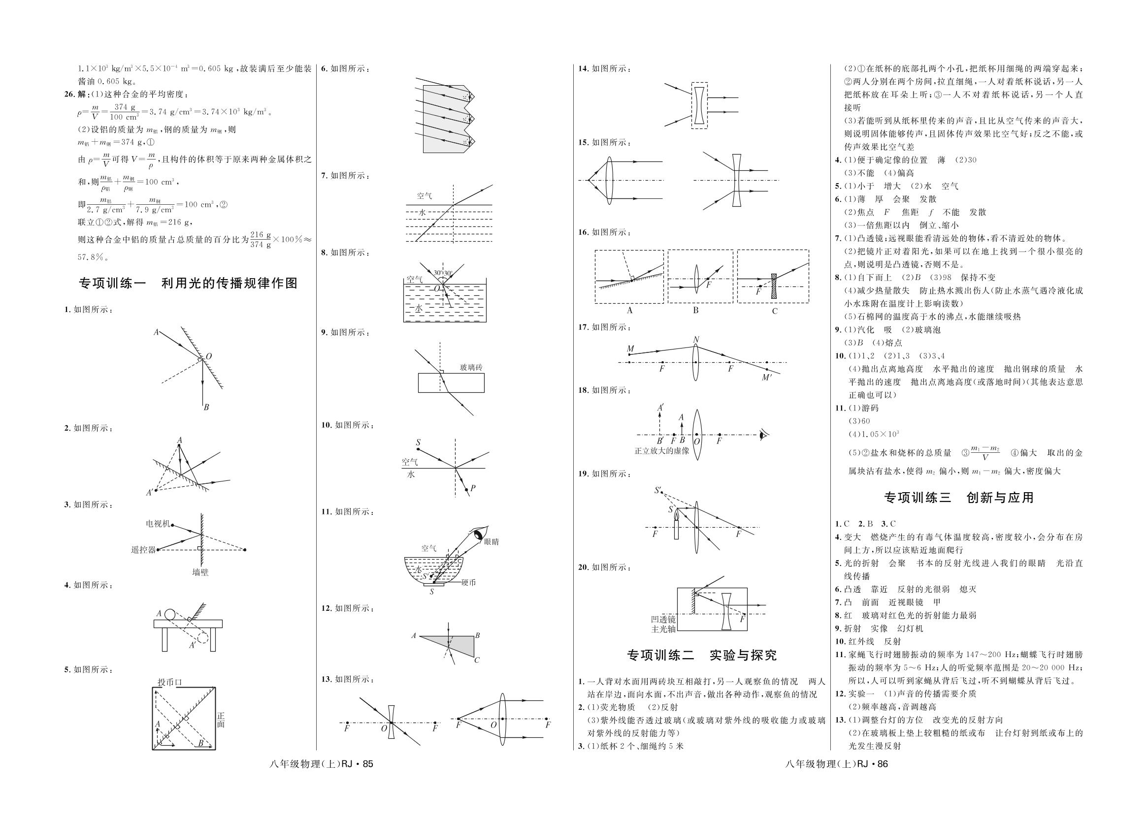 专项训练二 实验与探究-2020-2021学年八年级上册初二物理【夺冠百分百】优化测试卷（人教版）