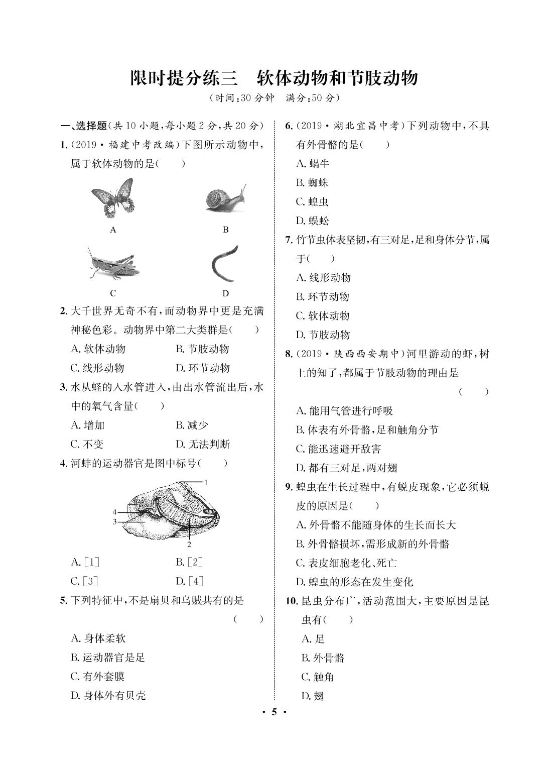 限时提分练3 软体动物和节肢动物-2020-2021学年八年级初三上册生物【夺冠必刷卷】鲁教版（五四通用）