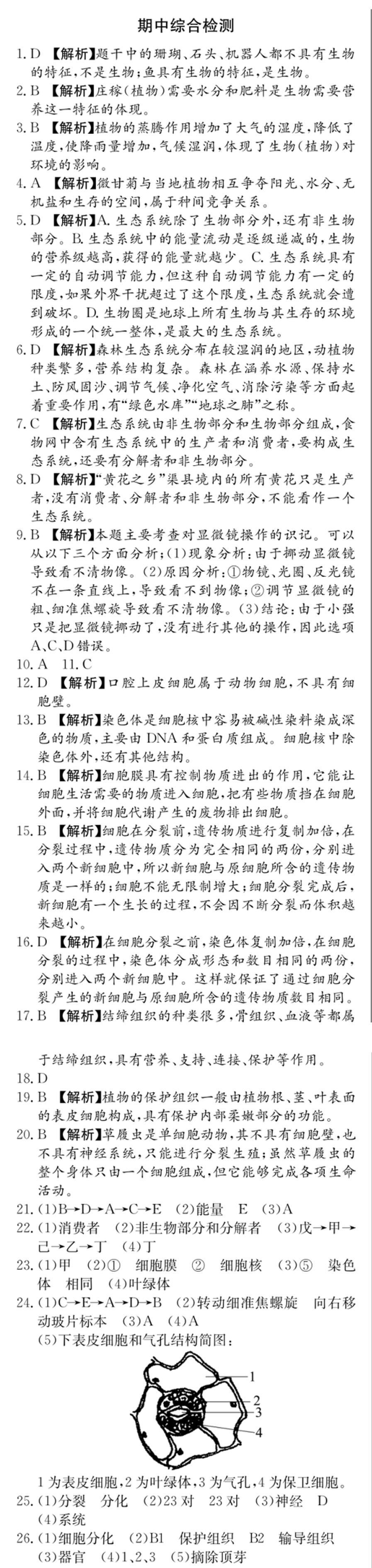 期中综合检测-【学考A+同步课时练】2020-2021学年七年级上册初一生物（人教版）