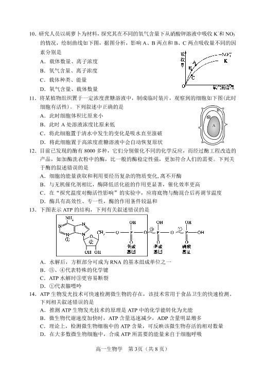 辽宁省沈阳市2020——2021学年高一上学期生物教学质量监测试卷（PDF版）