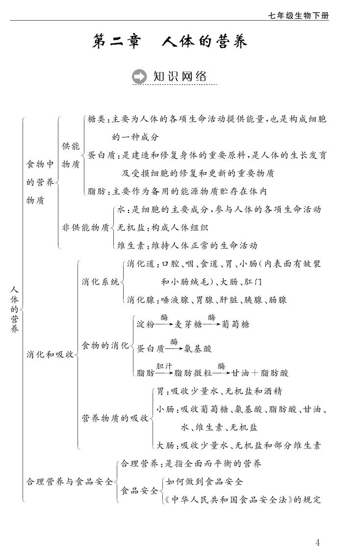 背记手册&知识手册 第2章 人体的营养-2020-2021学年七年级下册初一生物【名师学案】人教版