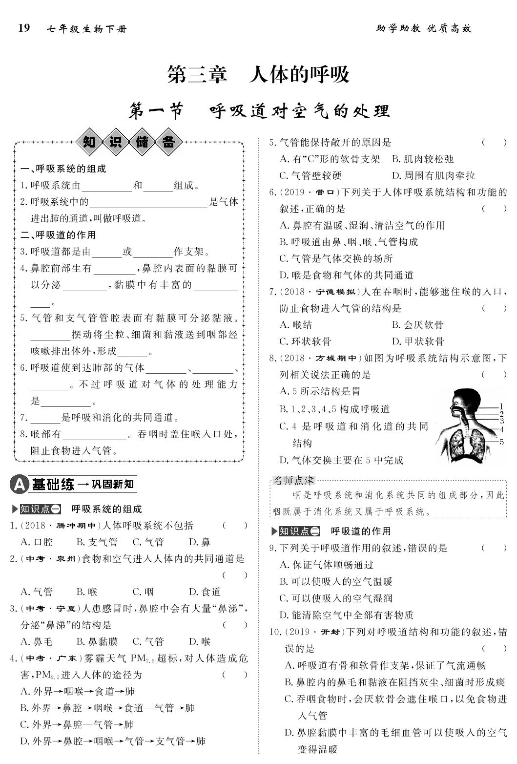 第3章 第1节 呼吸道对空气的处理-2020-2021学年七年级下册初一生物【名师学案】人教版
