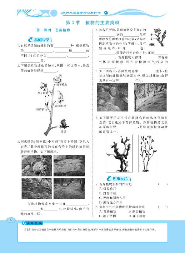 22.3 植物的主要类群-【学力水平同步检测与评估】2020-2021学年八年级下册初二生物（北师大版）