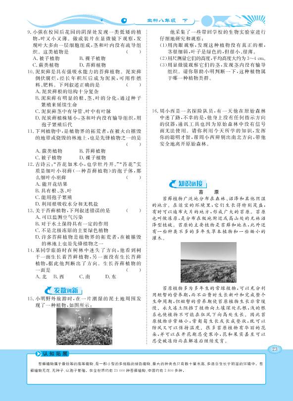 22.3 植物的主要类群-【学力水平同步检测与评估】2020-2021学年八年级下册初二生物（北师大版）