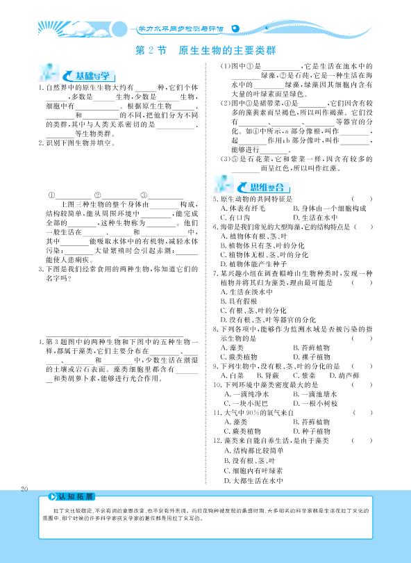 22.2 原生生物的主要类群-【学力水平同步检测与评估】2020-2021学年八年级下册初二生物（北师大版）