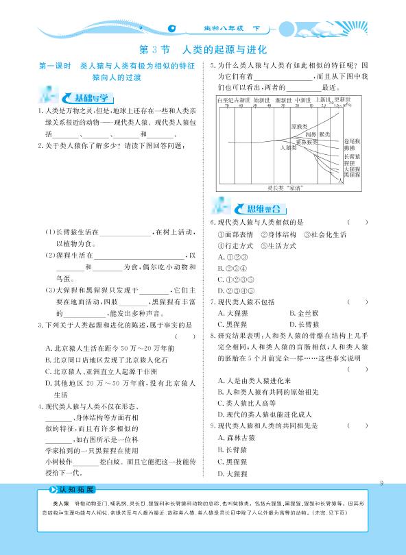 21.3 人类的起源与进化-【学力水平同步检测与评估】2020-2021学年八年级下册初二生物（北师大版）