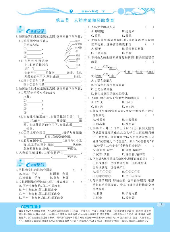 6.1.3 人的生殖和胚胎发育-【学力水平同步检测与评估】2020-2021学年八年级下册初二生物（冀少版）