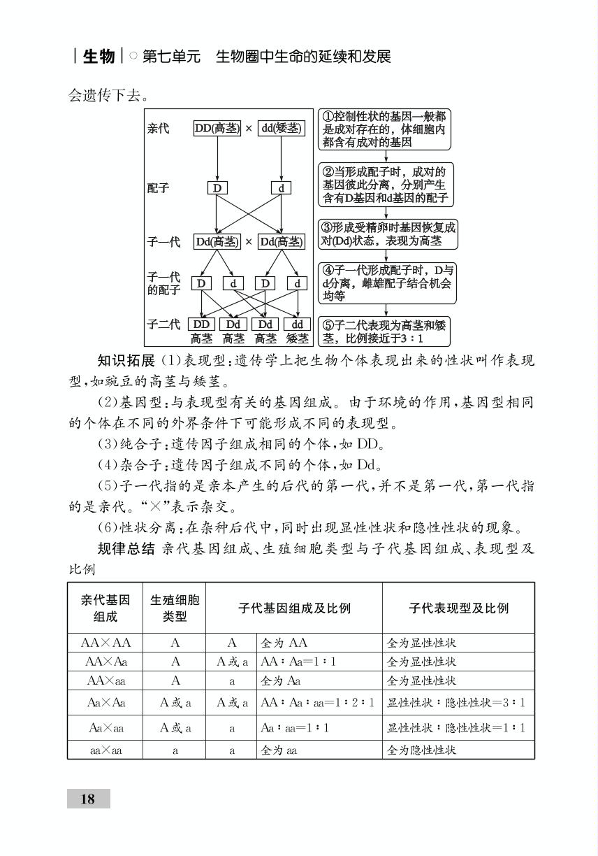 第7单元 第2章 第3节 基因的显性和隐性（精讲）-【优化设计】2020-2021学年八年级下册初二生物同步学考 人教版