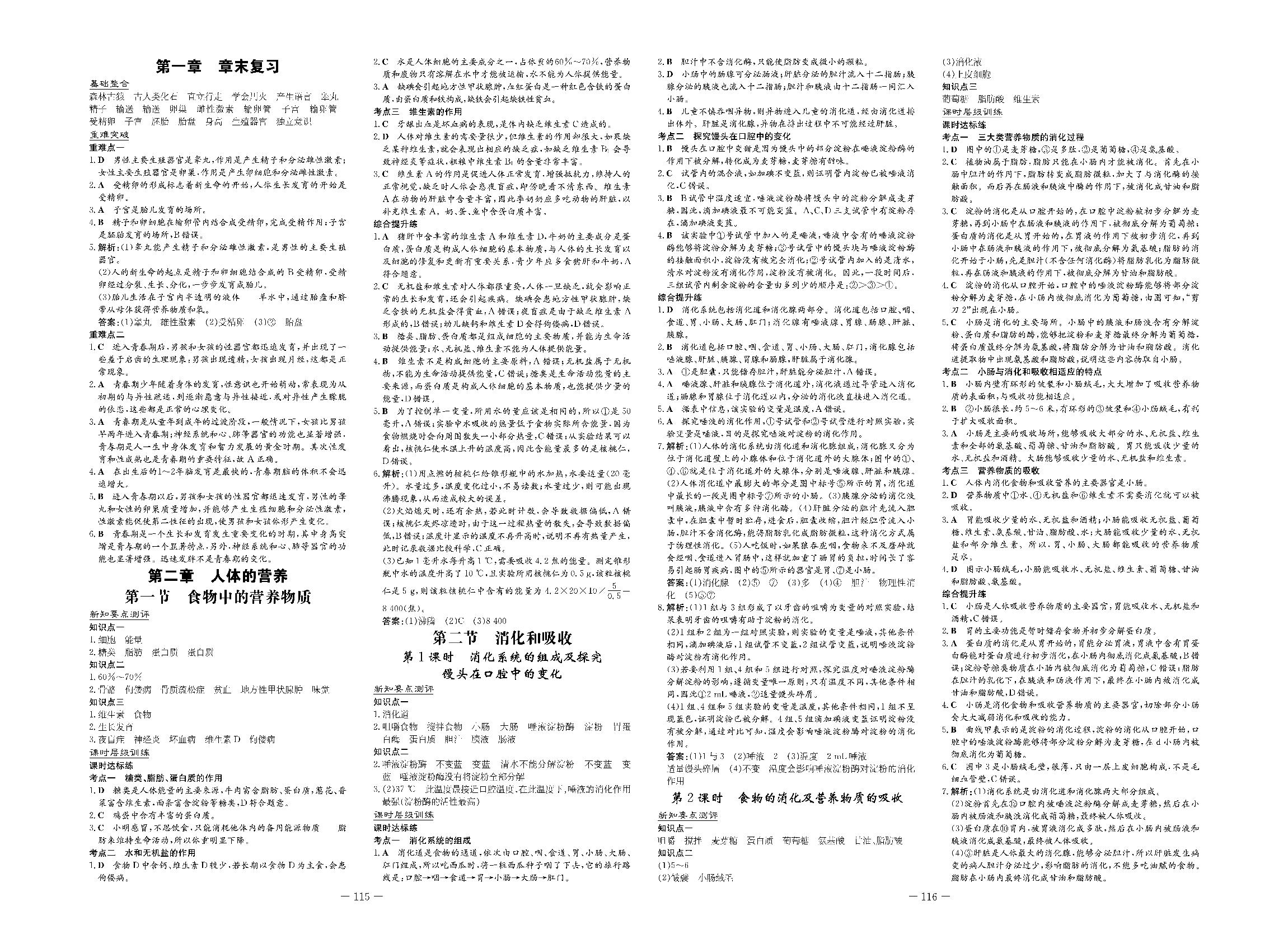第二章 人体的营养 章末复习-2020-2021学年七年级下册初一生物【导与练】初中同步练案课时作业本（人教版）