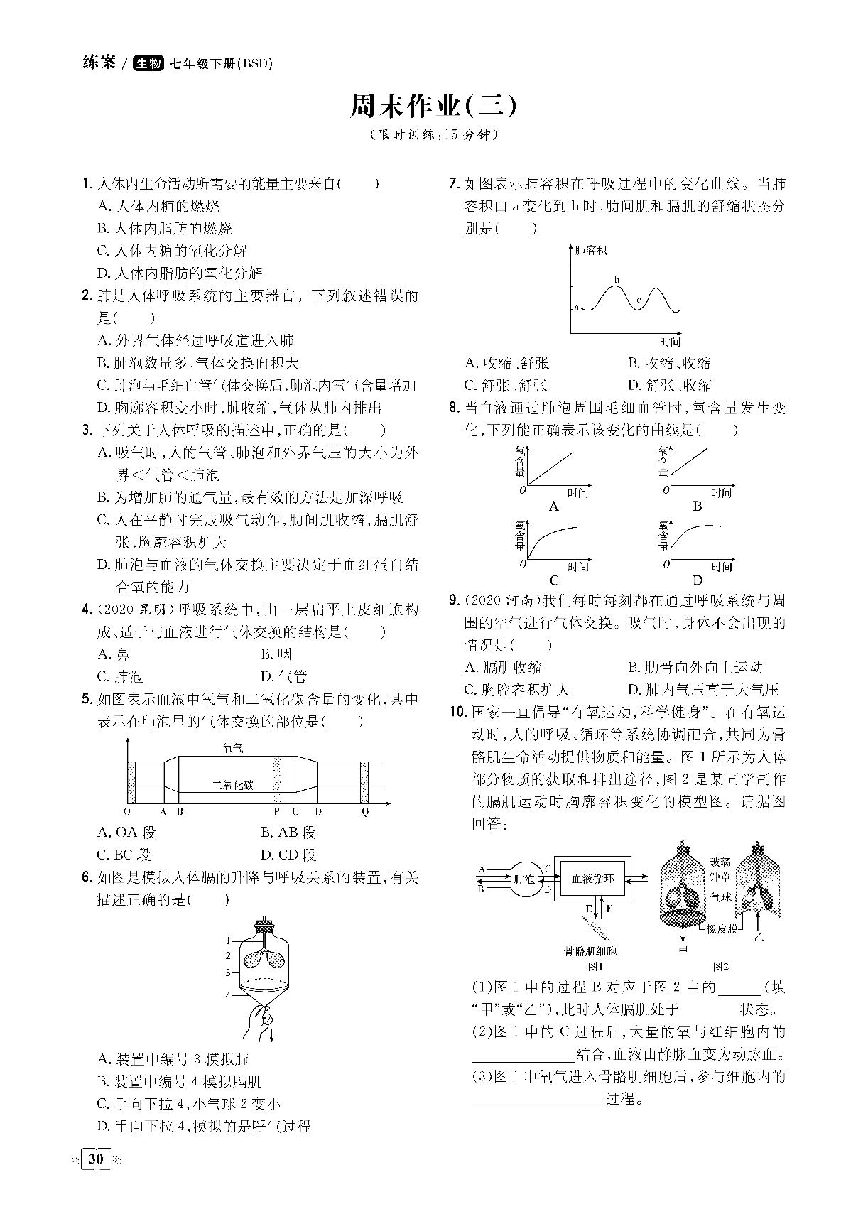 周末作业（三）-2020-2021学年七年级下册初一生物【导与练】初中同步练案课时作业本（北师大版）