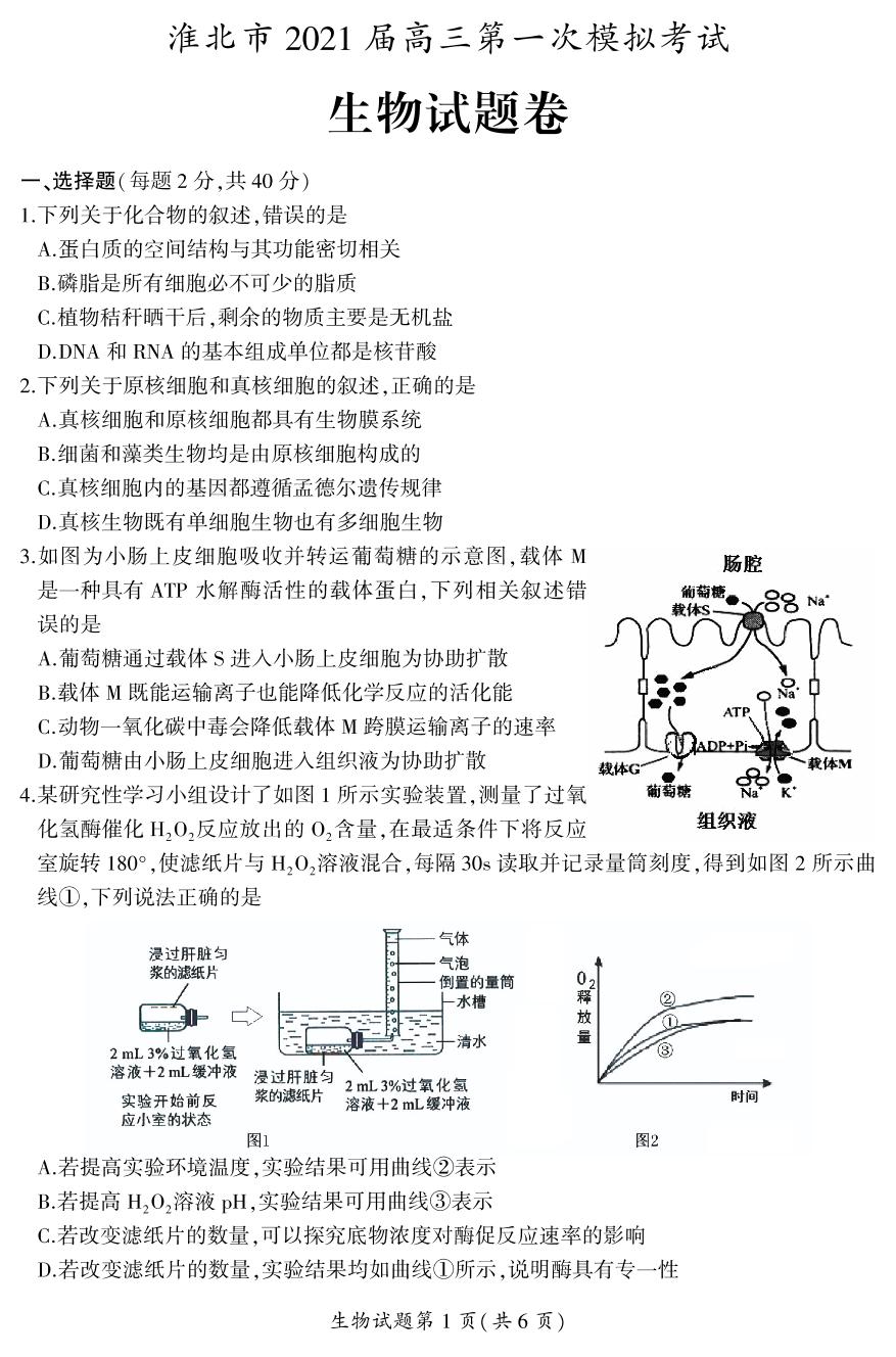2021届安徽省淮北市高三第一次模拟考试生物试题（PDF版，无答案）