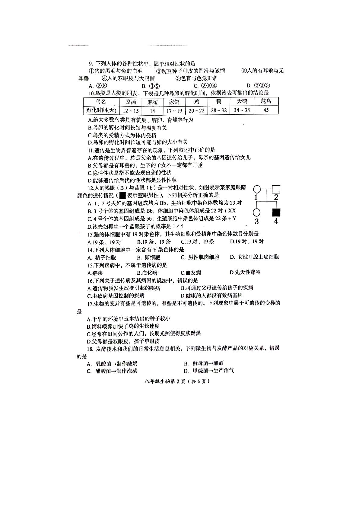 河南省洛阳市2020-2021学年下学期期末考试八年级生物试卷（PDF版，有答案）