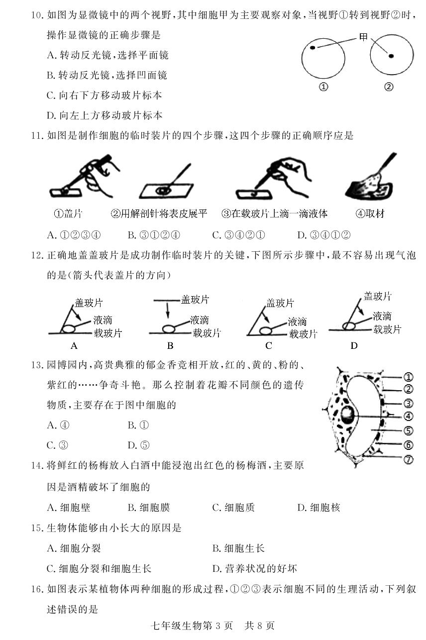山东省德州禹城市2021-2022学年七年级上学期期中考试生物试题