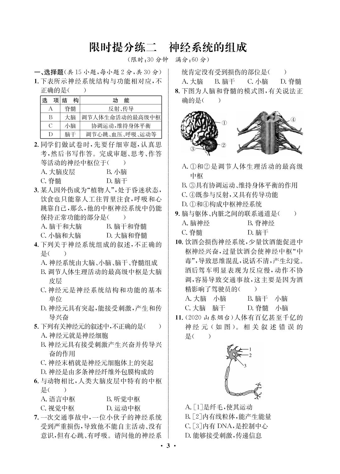 限时提分练 2 神经系统的组成-2021-2022学年七年级下册初一生物【夺冠必刷卷】鲁科版（五四制）