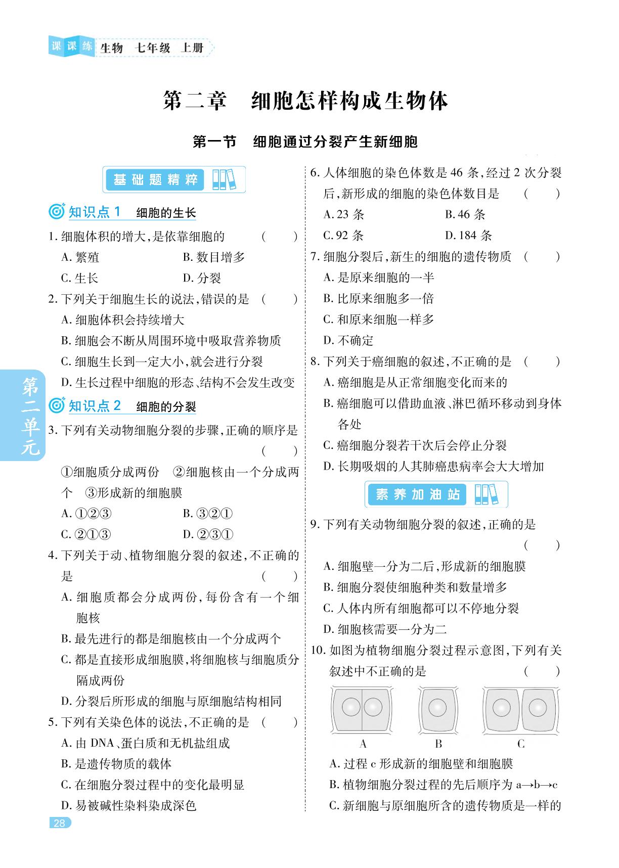 第2单元 第2章 第1节 细胞通过分裂产生新细胞-2022-2023学年七年级上册初一生物【课课练】同步训练（人教版）