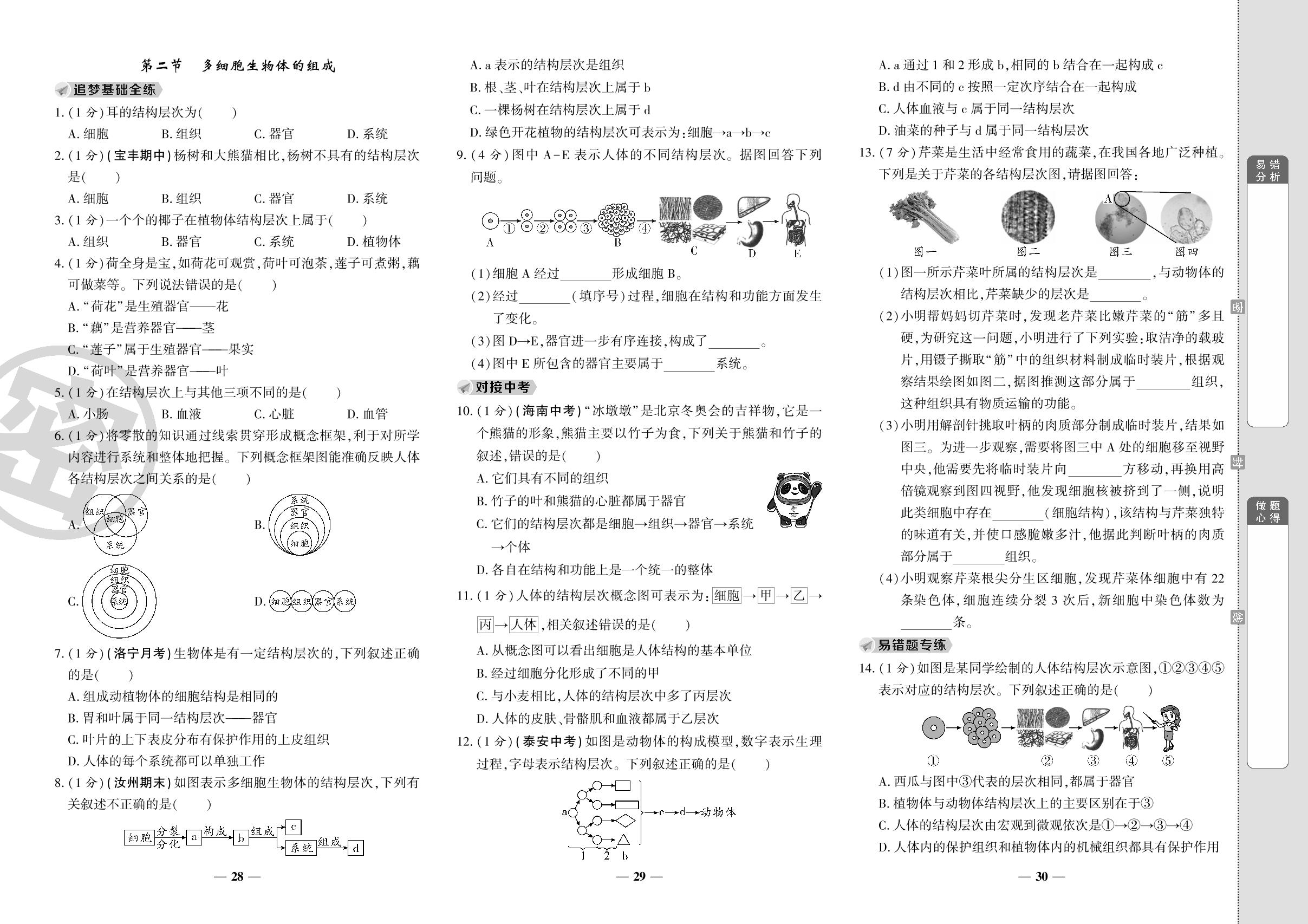 07 第2单元 第四章 第二节 多细胞生物体的组成-【追梦之旅·生物铺路卷】2022-2023学年七年级上册初一生物（苏教版）