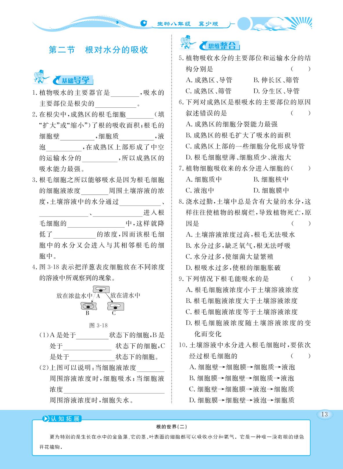 3.2.2 根对水分的吸收（同步练习）- 2022-2023学年八年级上册初二生物【学力水平同步检测与评估】（冀少版）