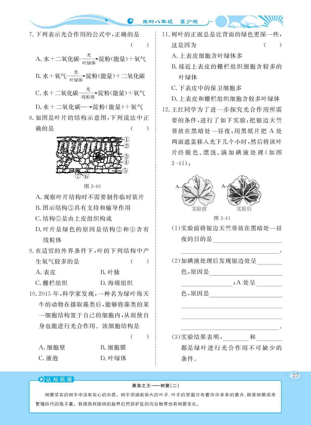 3.3.3 光合作用的场所（同步练习）- 2022-2023学年八年级上册初二生物【学力水平同步检测与评估】（冀少版）