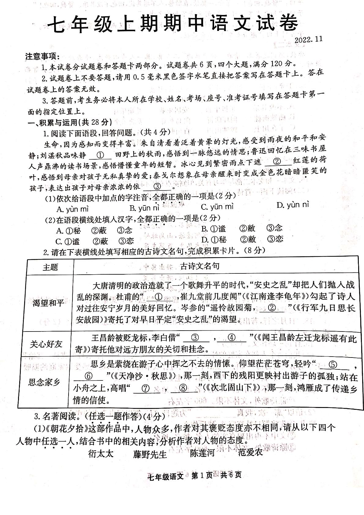 河南省新乡市辉县市2022-2023学年七年级上学期11月期中语文试题