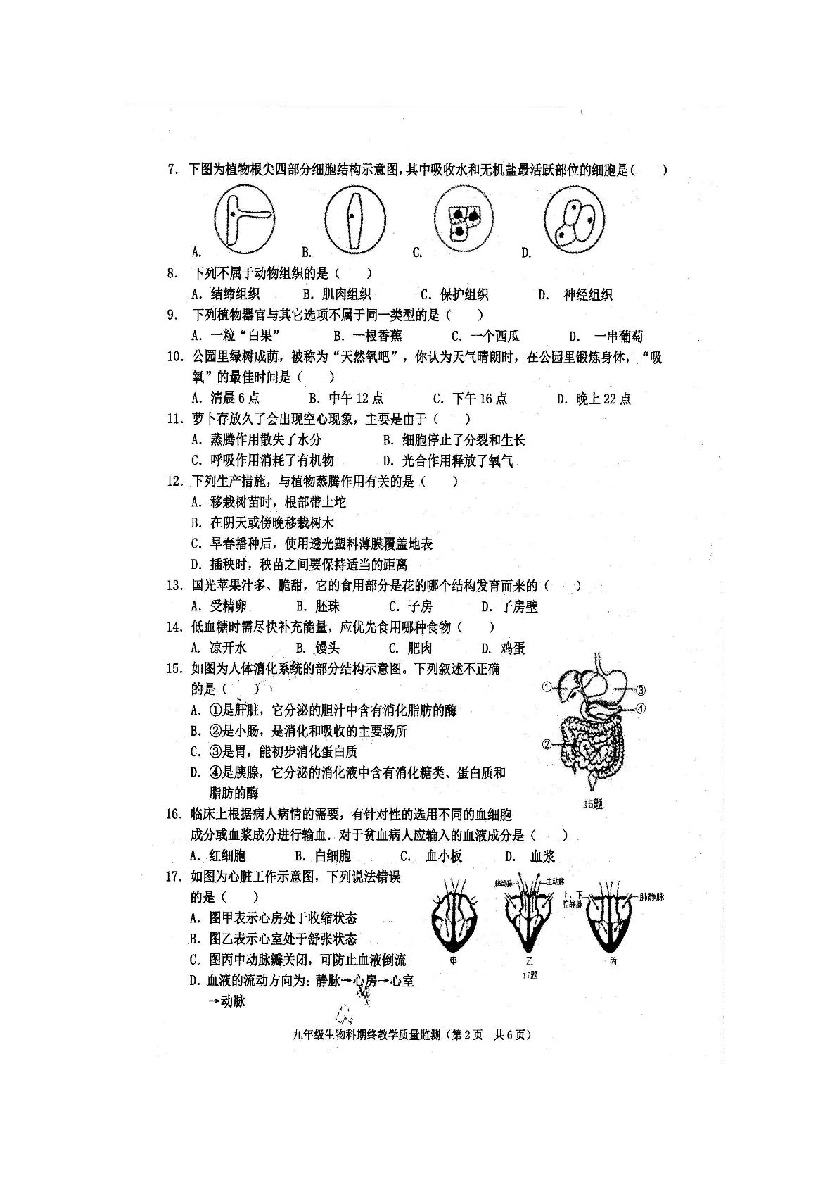 广东省揭阳市普宁市2022-2023学年九年级上学期期末生物试题