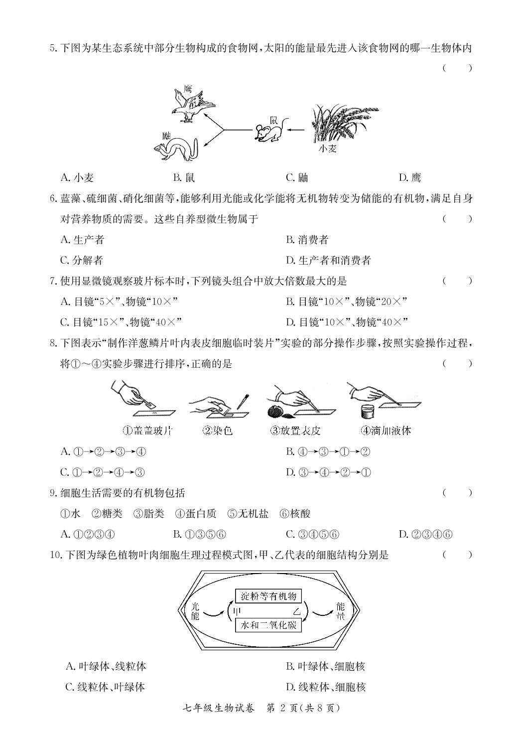广东省河源市紫金县2022-2023学年七年级上学期期末考试生物试题