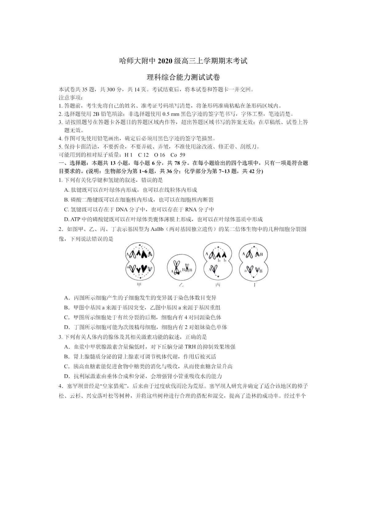 黑龙江省哈尔滨师范大学附属中学2022-2023学年高三上学期期末考试理科综合试卷