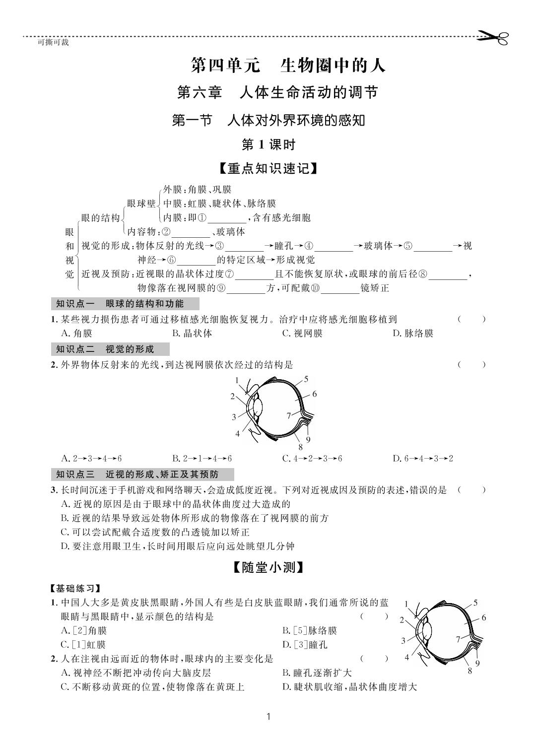 第四单元 第六章 第一节 人体对外界环境的感知-【一课通】2022-2023学年七年级下册生物随堂小练习(鲁科版五四制)
