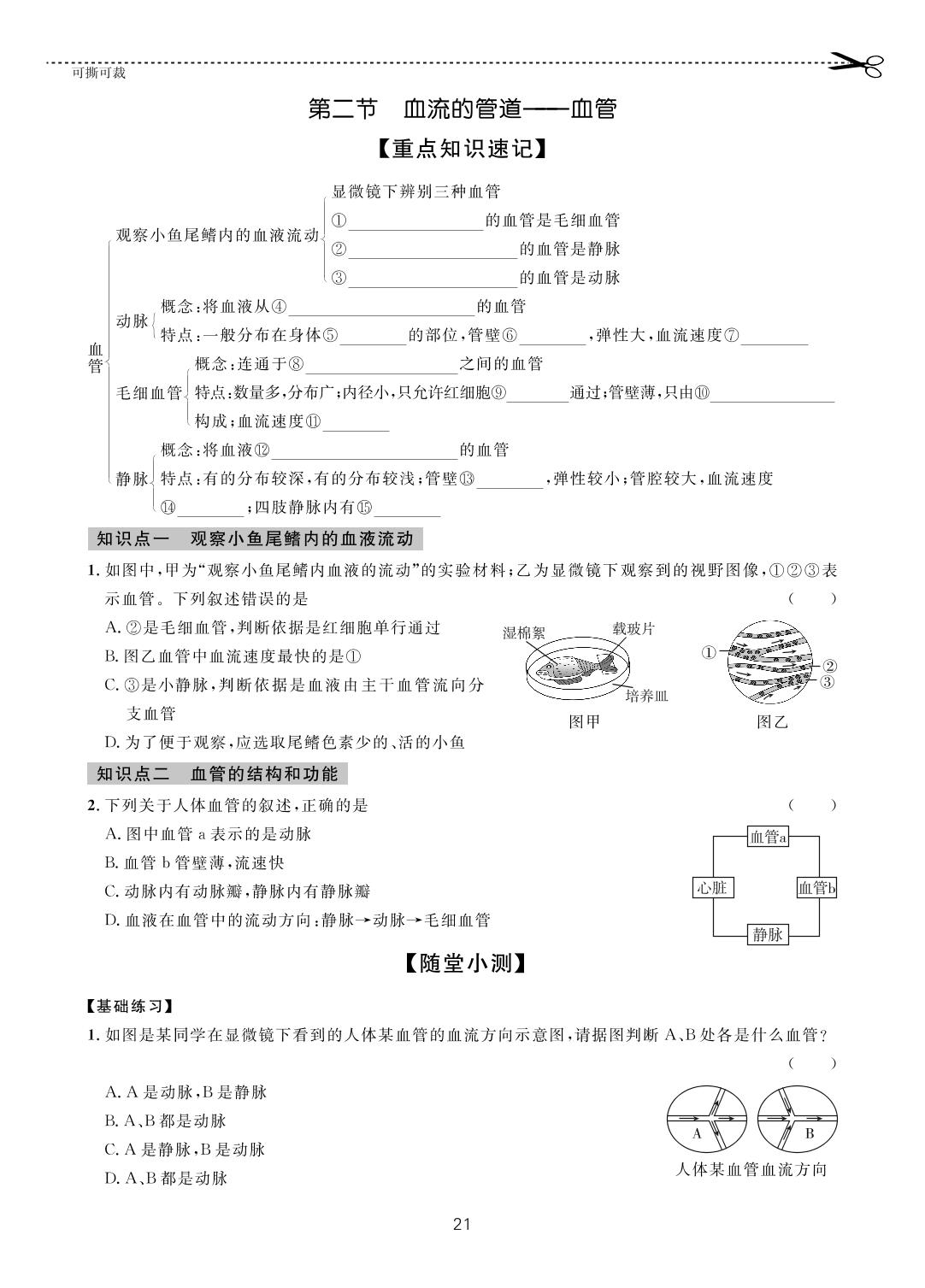 第四单元 第四章 第二节 血流的管道──血管-【一课通】2022-2023学年七年级下册生物随堂小练习(人教版)