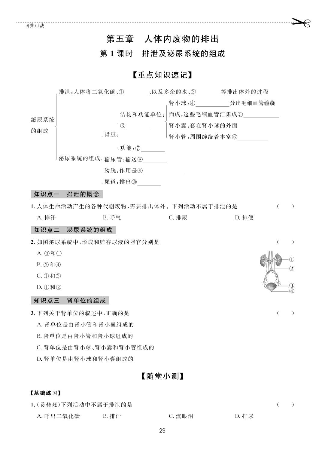 第四单元 第五章 人体内废物的排出-【一课通】2022-2023学年七年级下册生物随堂小练习(人教版)