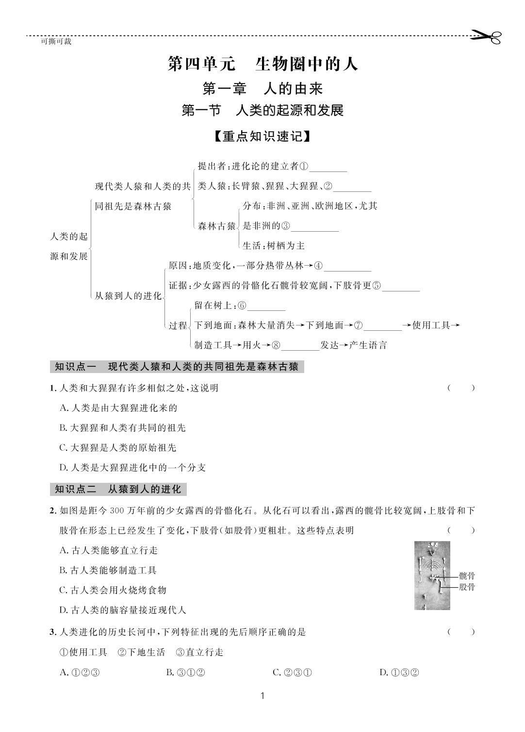 第四单元 第一章 第一节 人类的起源和发展-【一课通】2022-2023学年七年级下册生物随堂小练习(人教版)