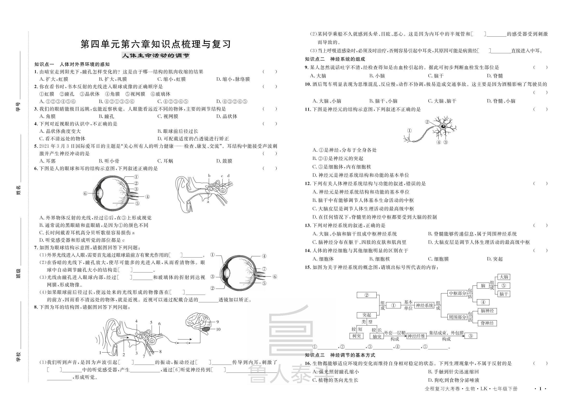 第四单元第六章知识点梳理与复习-【一课通】2022-2023学年七年级下册生物同步大考卷全程复习（鲁科版）