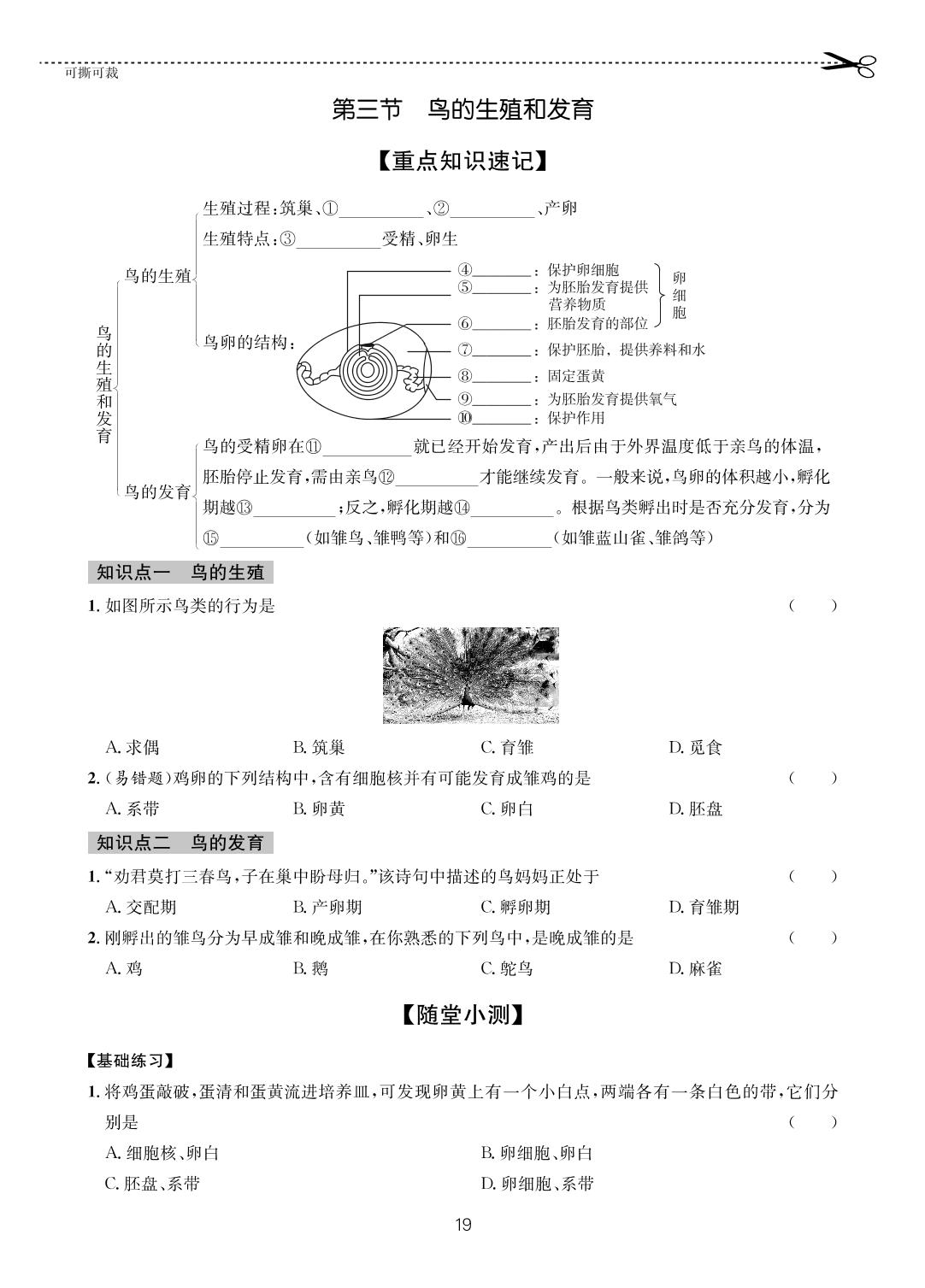 10 第二章第三节 鸟的生殖和发育-【一课通】2022-2023学年八年级全一册生物随堂小练习(济南版)