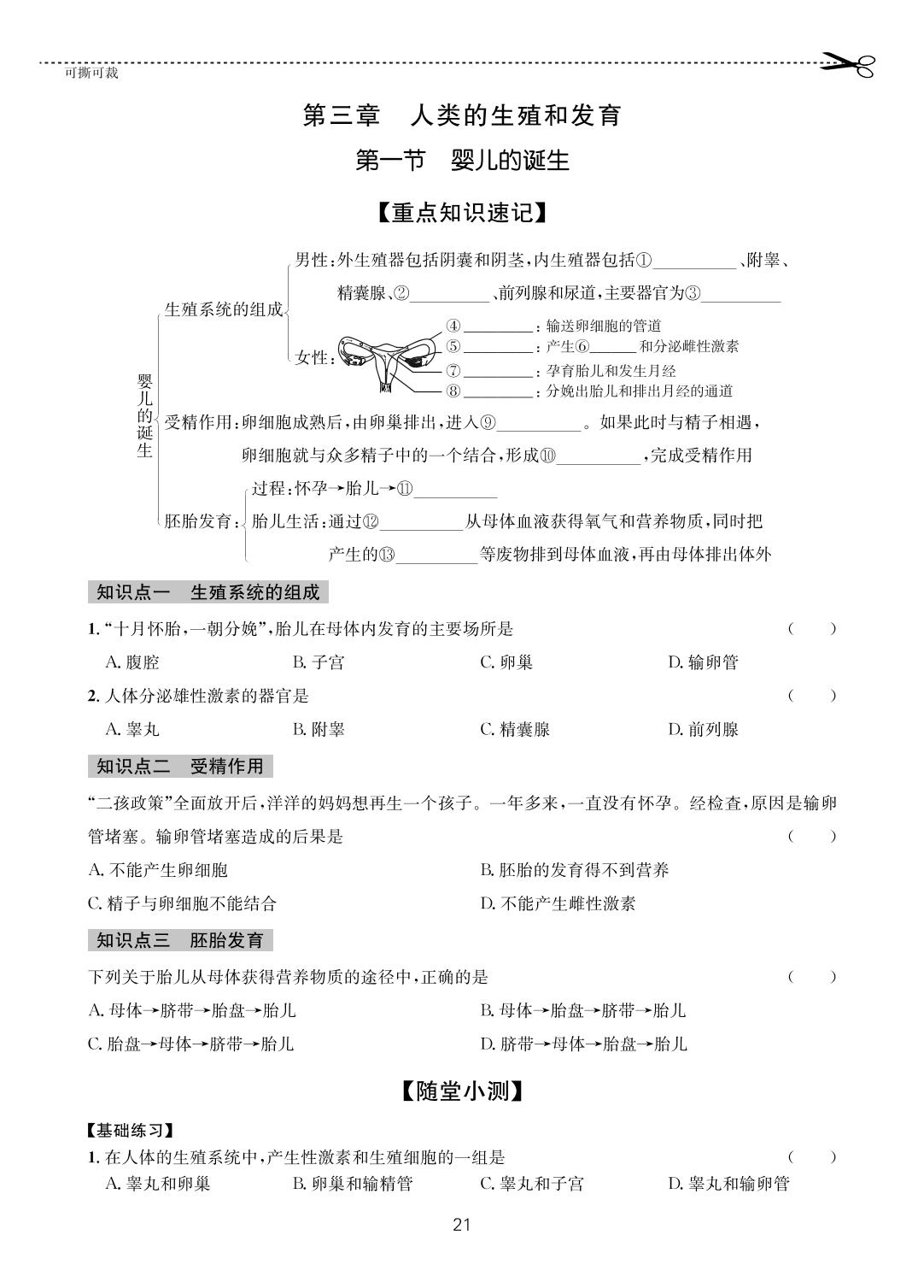 11 第三章第一节 婴儿的诞生-【一课通】2022-2023学年八年级全一册生物随堂小练习(济南版)