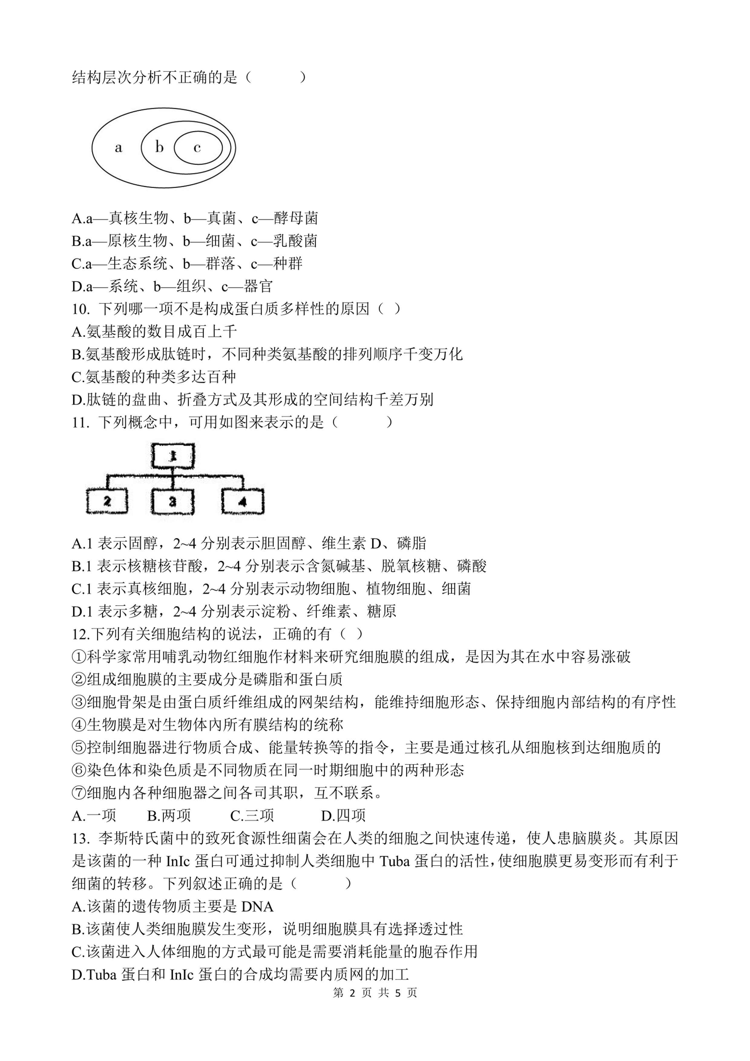 新疆巴音郭楞蒙古自治州轮台县第三中学2022-2023学年高一上学期期中考试生物试题