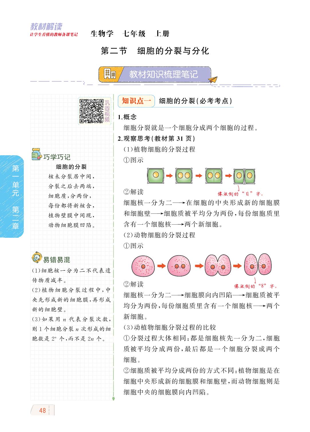 1.2.2 细胞的分裂与分化-【教材解读】2023秋七年级上册初一生物（济南版)