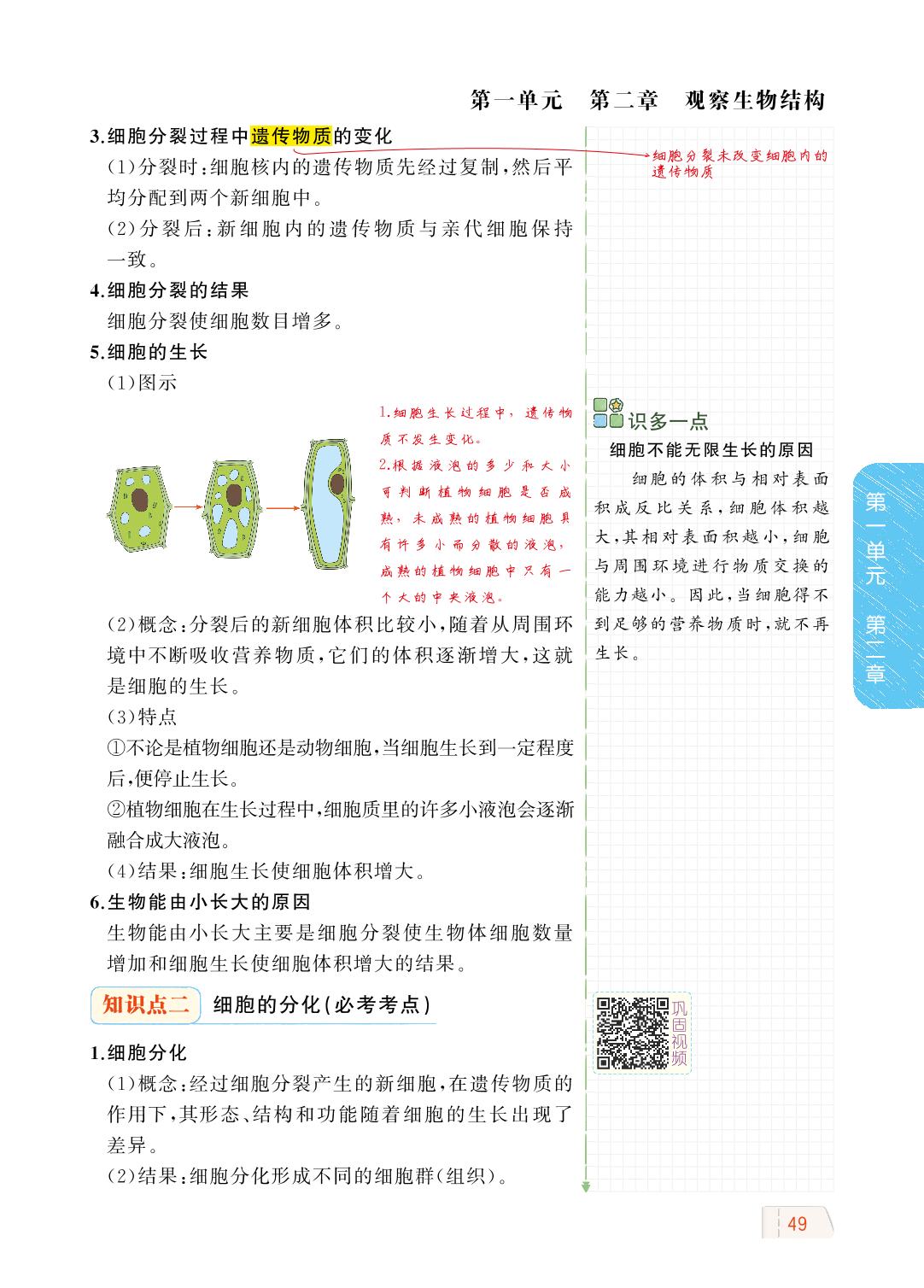 1.2.2 细胞的分裂与分化-【教材解读】2023秋七年级上册初一生物（济南版)