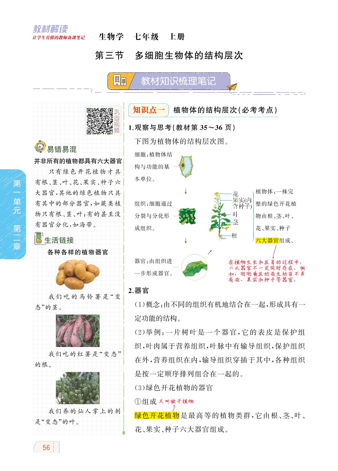 1.2.3 多细胞生物体的结构层次-【教材解读】2023秋七年级上册初一生物（济南版)