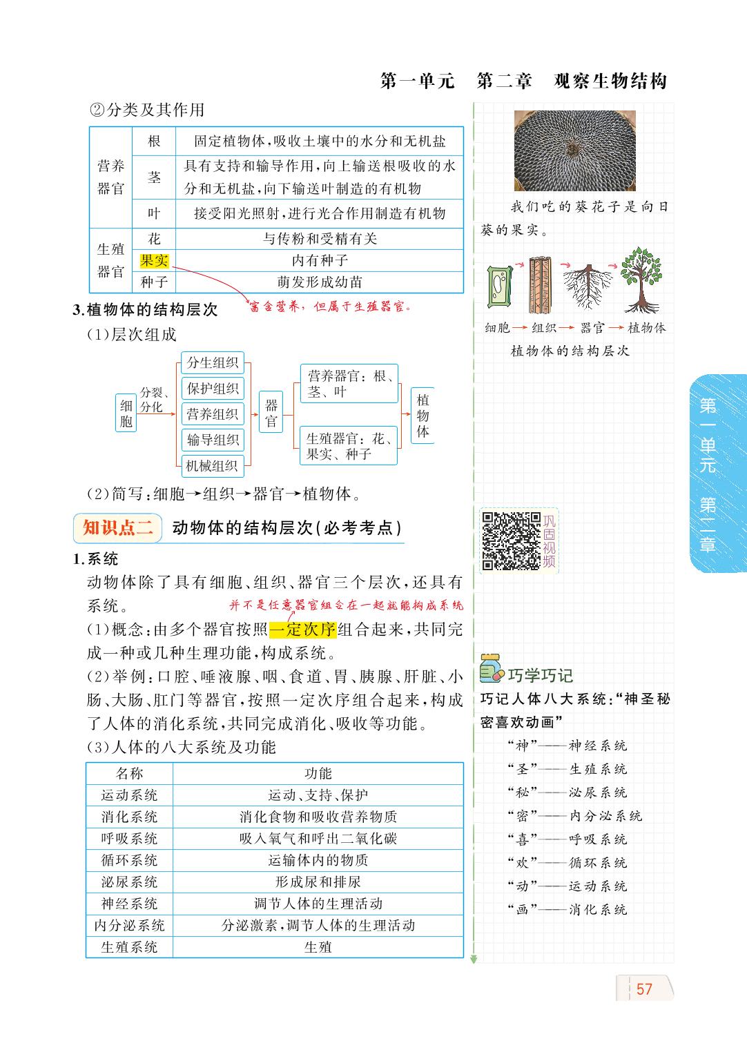 1.2.3 多细胞生物体的结构层次-【教材解读】2023秋七年级上册初一生物（济南版)