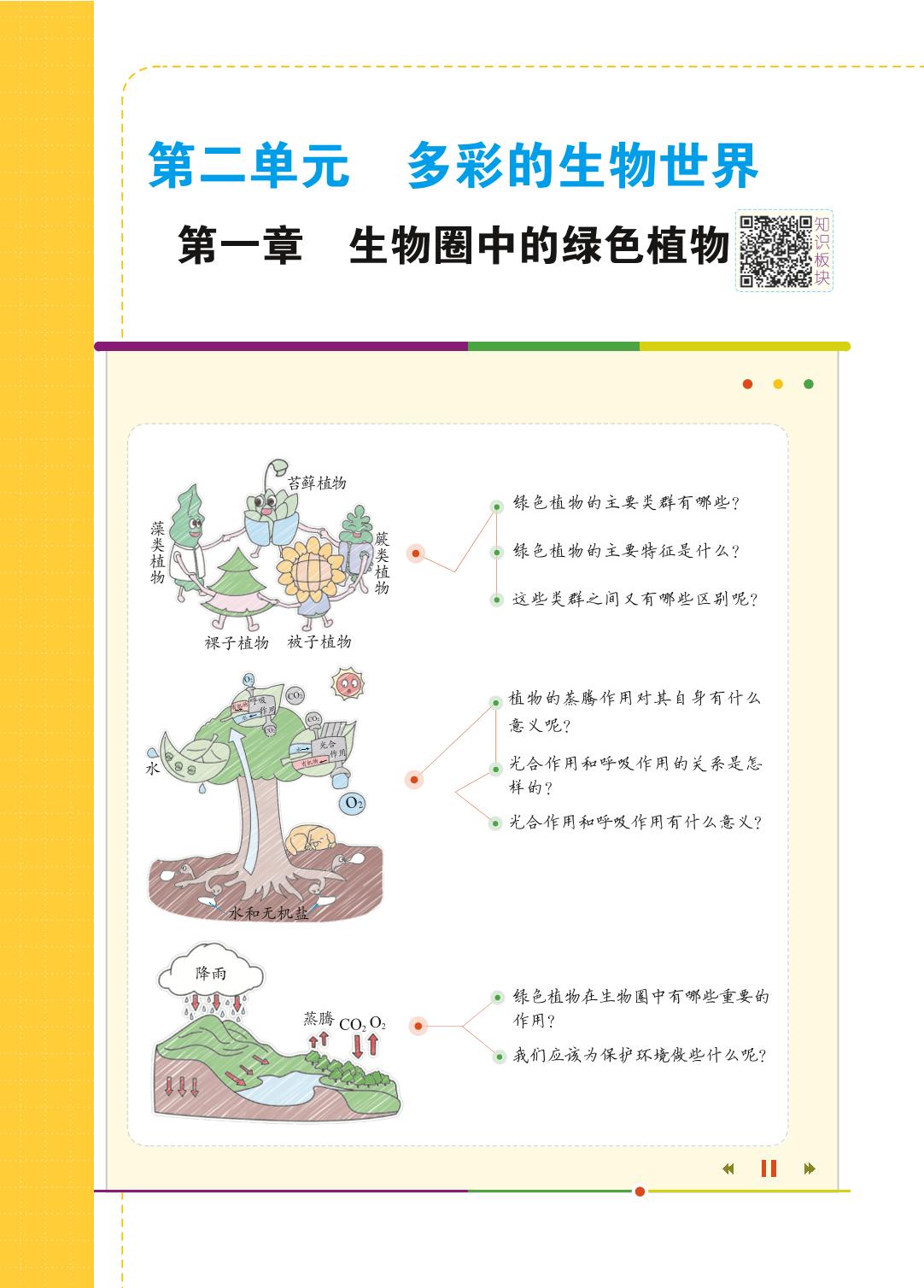 2.1.1 绿色植物的主要类群-【教材解读】2023秋七年级上册初一生物（济南版)