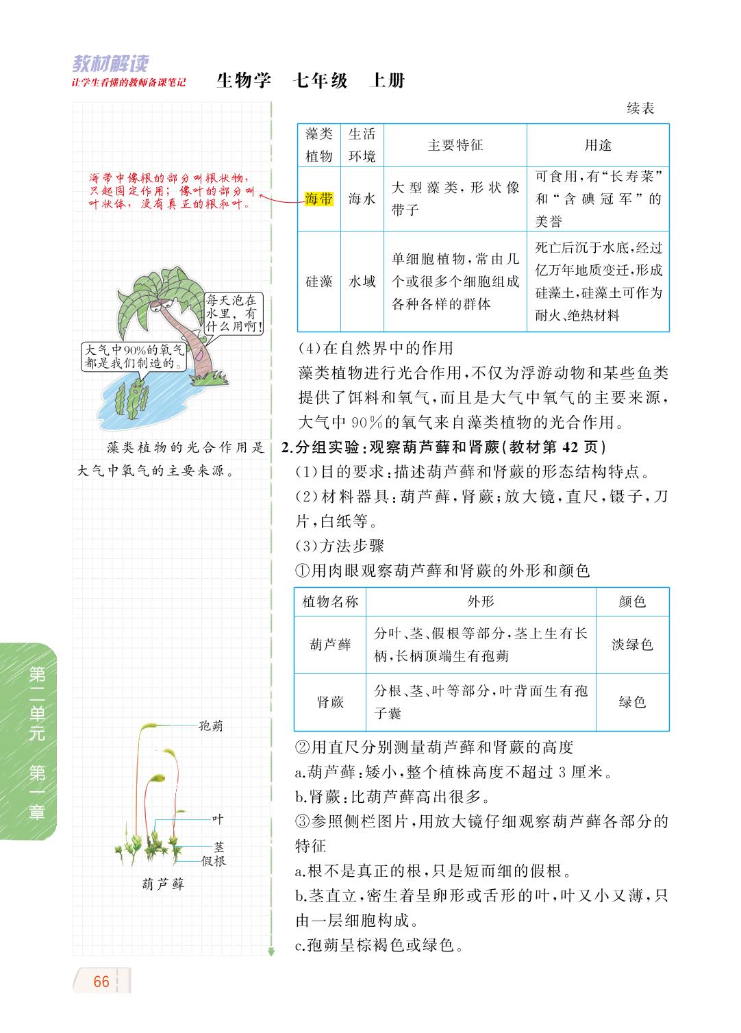 2.1.1 绿色植物的主要类群-【教材解读】2023秋七年级上册初一生物（济南版)