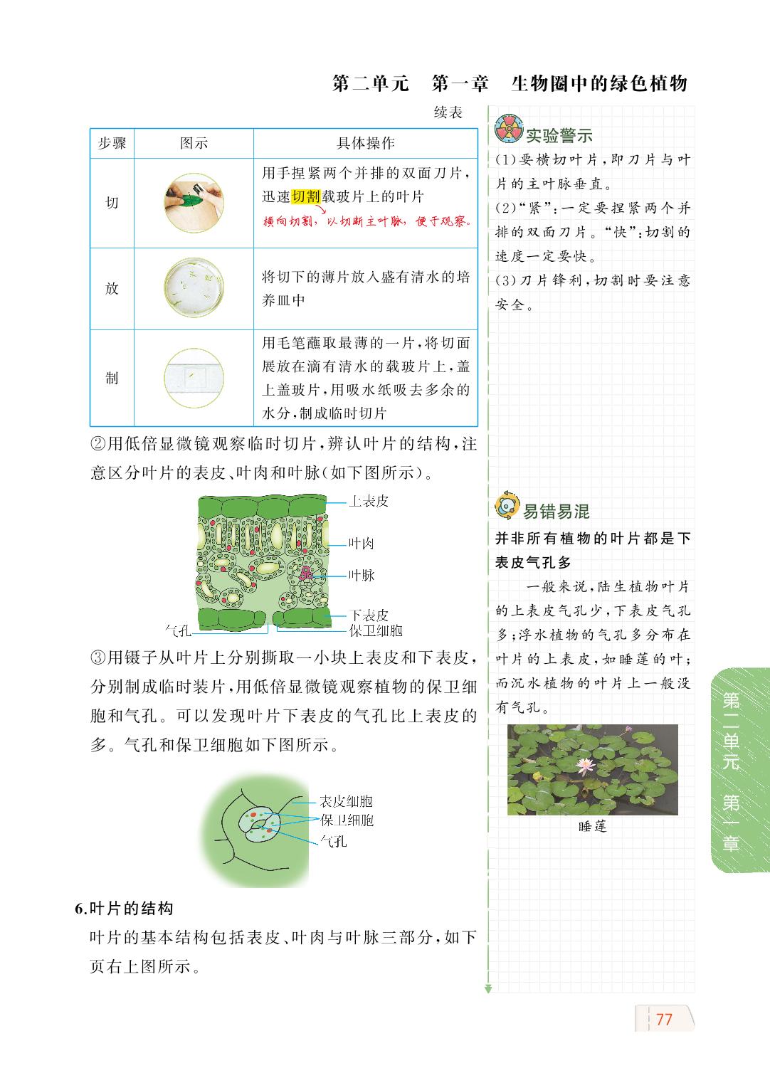 2.1.2 绿色植物的蒸腾作用-【教材解读】2023秋七年级上册初一生物（济南版)