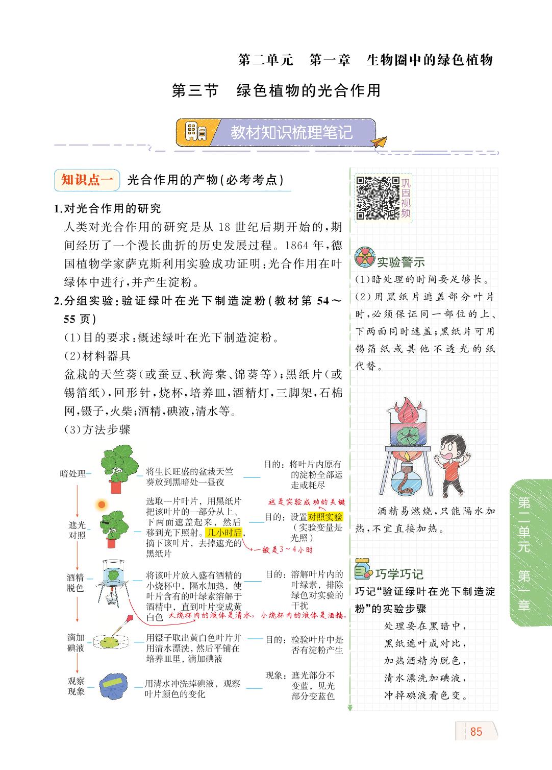 2.1.3 绿色植物的光合作用-【教材解读】2023秋七年级上册初一生物（济南版)