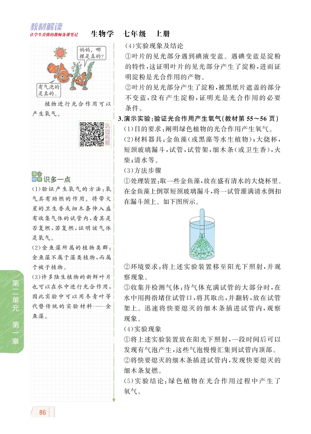 2.1.3 绿色植物的光合作用-【教材解读】2023秋七年级上册初一生物（济南版)