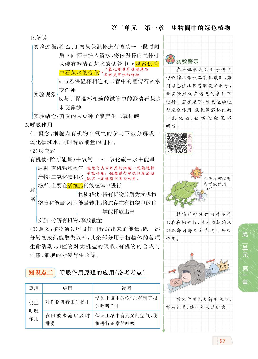 2.1.4 绿色植物的呼吸作用-【教材解读】2023秋七年级上册初一生物（济南版)