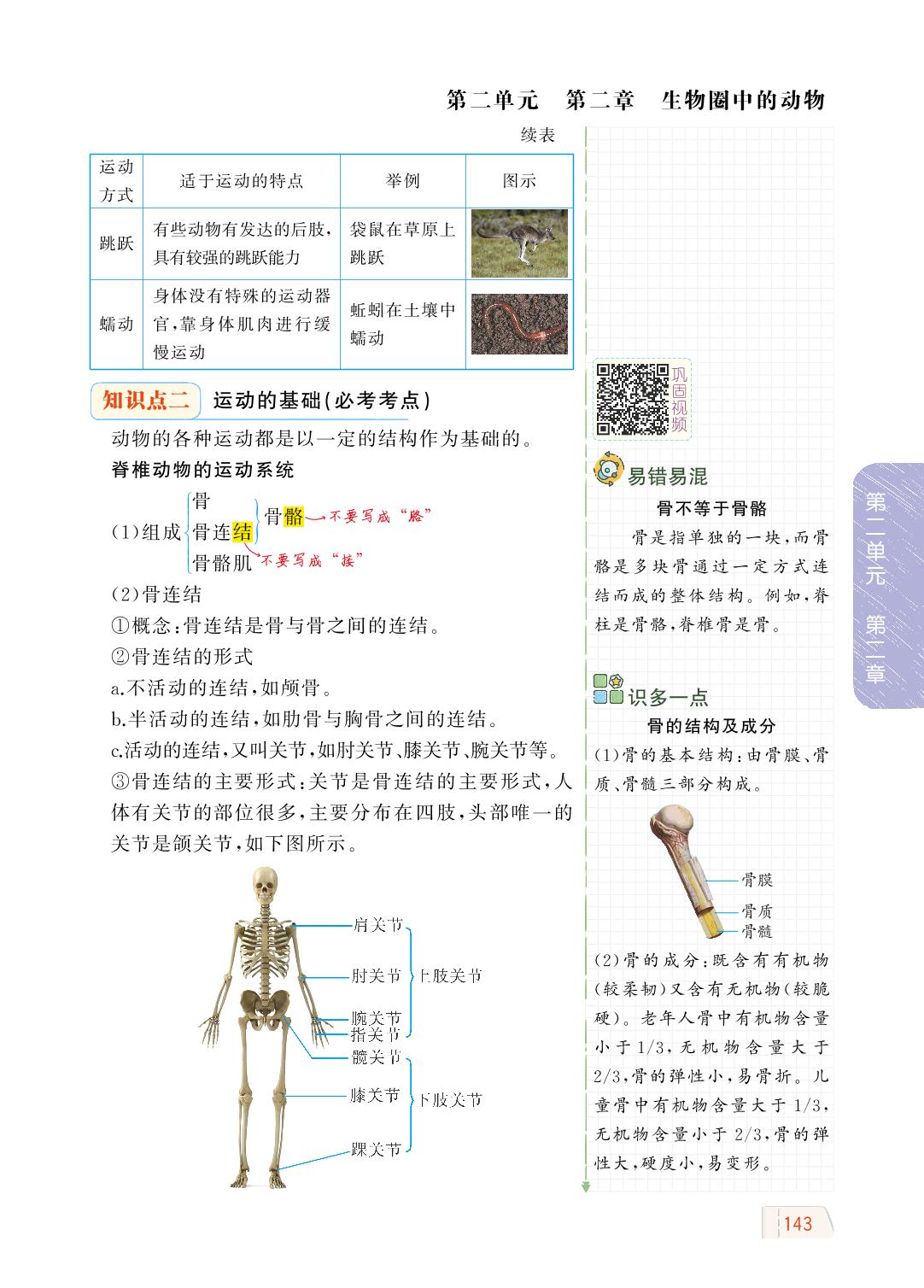 2.2.3 动物的运动-【教材解读】2023秋七年级上册初一生物（济南版)