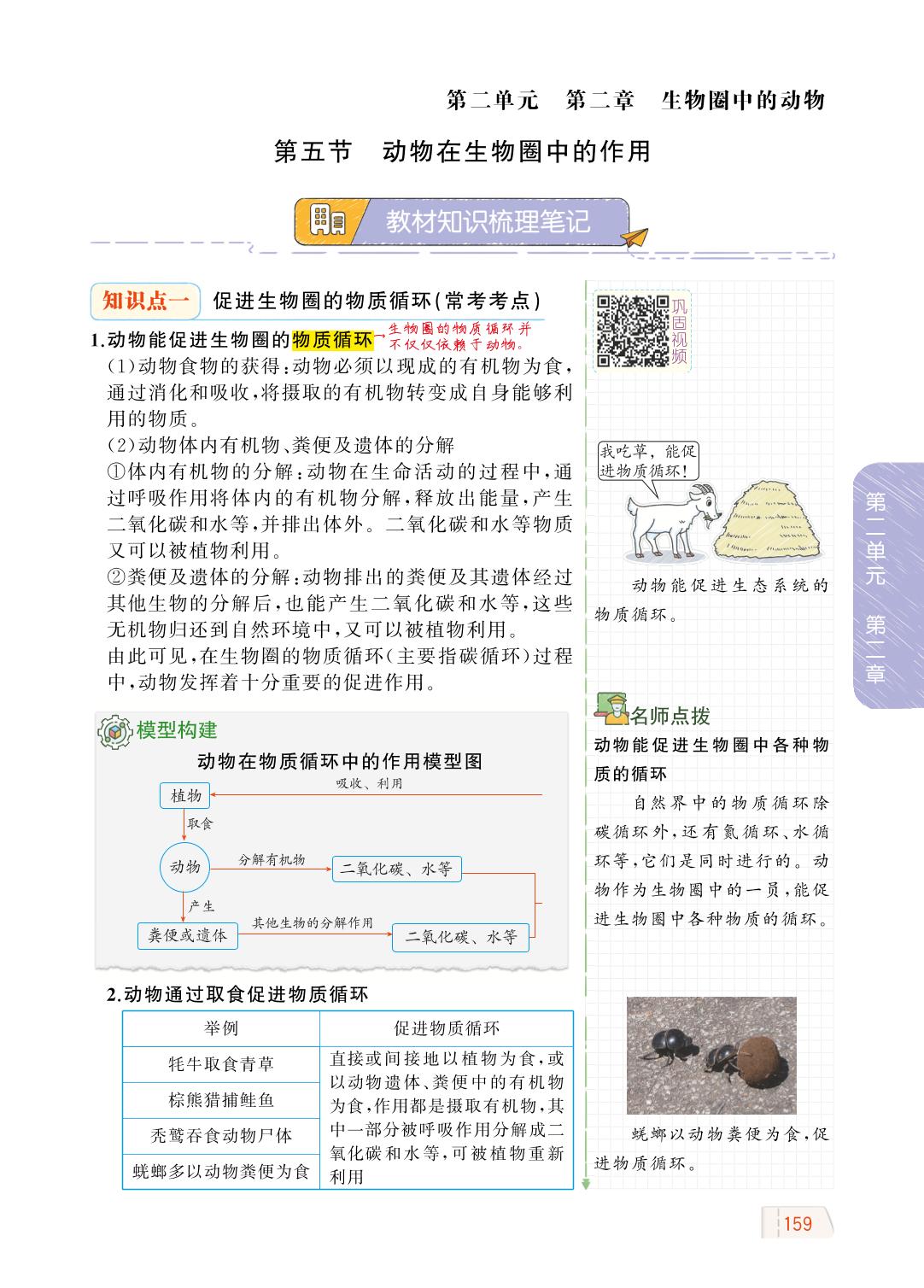 2.2.5 动物在生物圈中的作用-【教材解读】2023秋七年级上册初一生物（济南版)