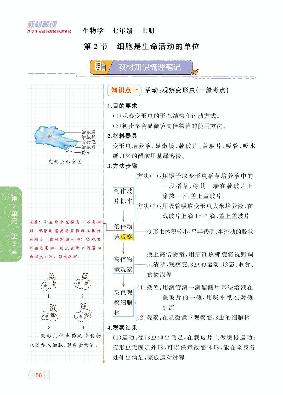 2.3.2 细胞是生命活动的单位-【教材解读】2023秋七年级上册初一生物（北师大版)